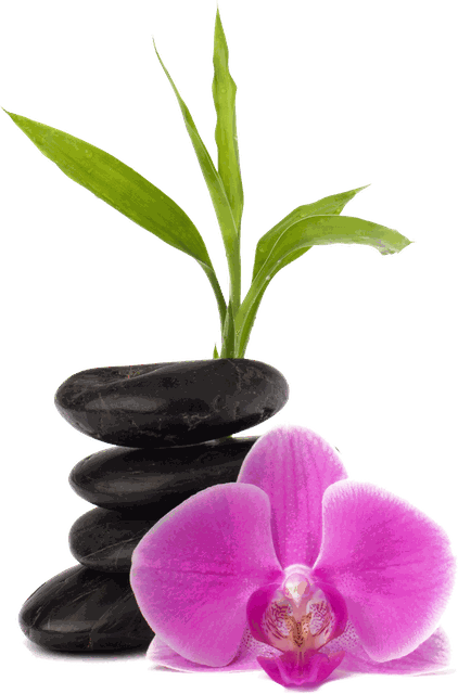 Stacked basalt stones with bamboo and an orchid